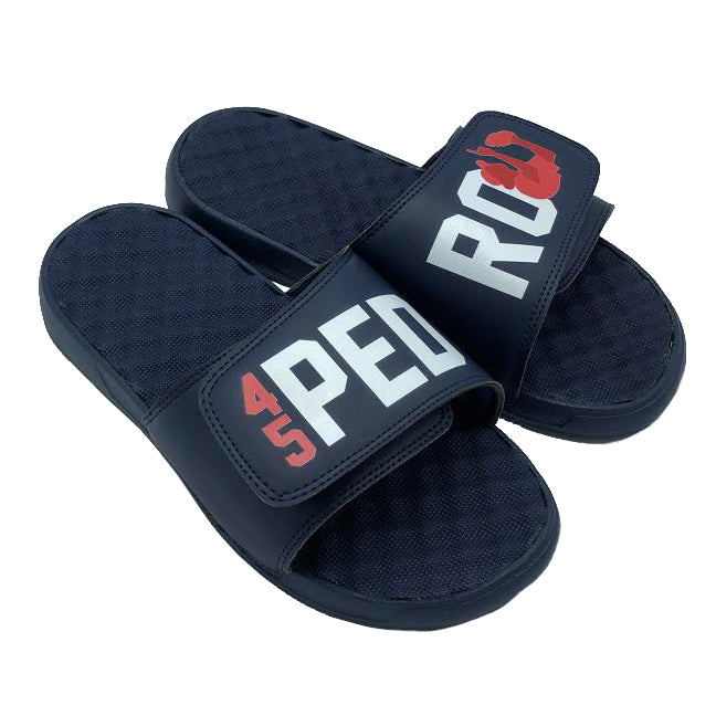 Pedro Martinez Slides
