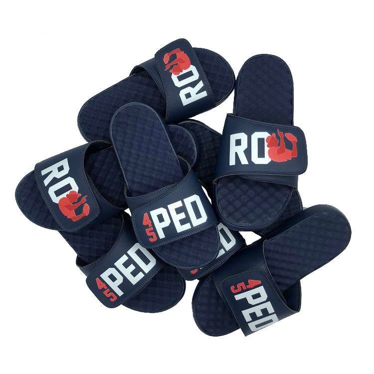 Pedro Martinez Slides