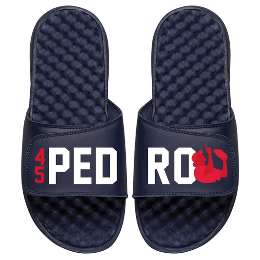 Pedro Martinez Slides