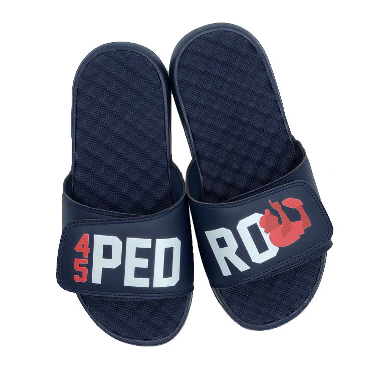 Pedro Martinez Slides