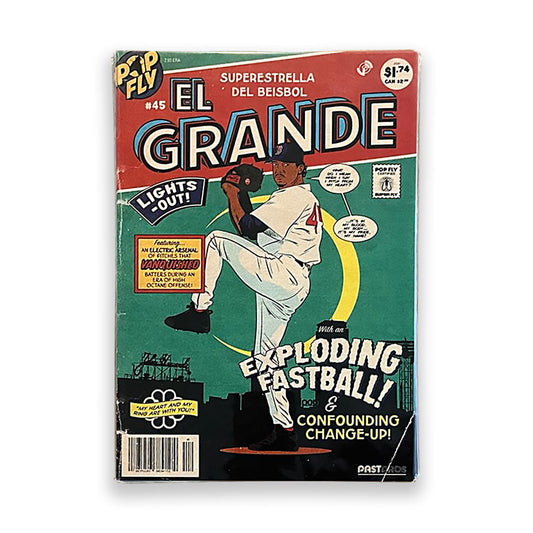 Limited Edition Pedro Martinez "El Grande" Pop Fly Art Print Autographed.